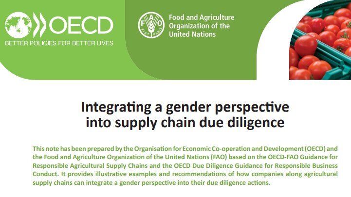 Toolbox_Tool_10_Integrating_a_gender_perspective_in_supply_chain_due_diligence.png