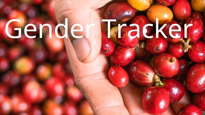Toolbox_Tool_7_Gender-Transformative_Tracker_Tool.png