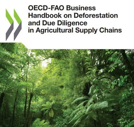oecd_handbook.jpg