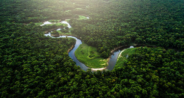 [Translate to EN:] iStock