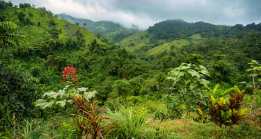 © iStock / Artush iStock-2150677348.jpg