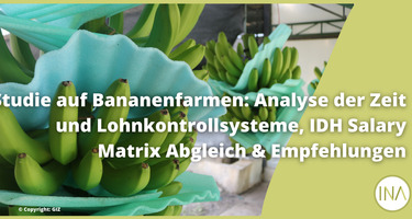 Studie_Bananenfarmen_DE.png