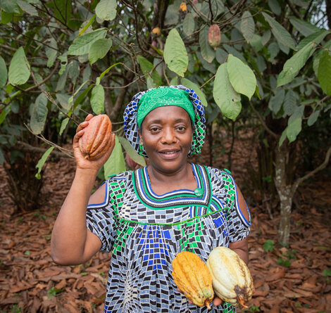 © iStock / Media Lens King