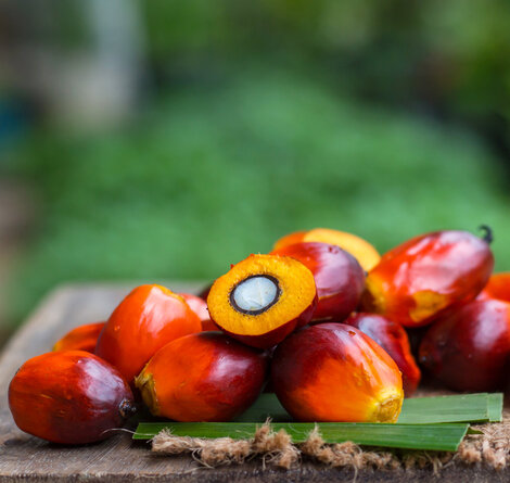 © iStock / Wirachai iStock-1084911690.jpg