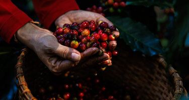 © iStock / DINphotogallery iStock-1929392328.jpg