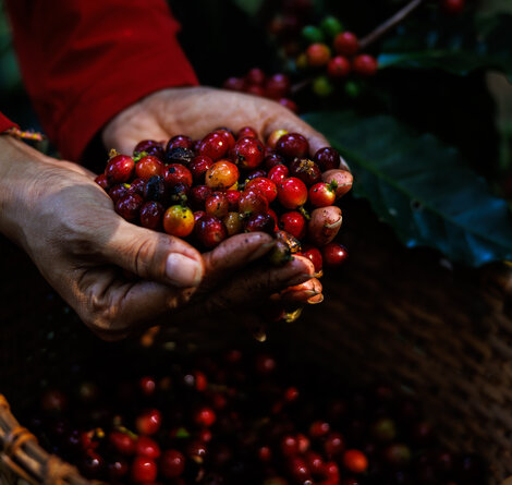 © iStock / DINphotogallery iStock-1929392328.jpg