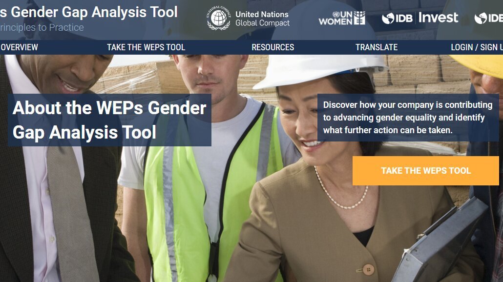 Toolbox_Tool_2_Gender_Gap_Analysis_Tool.png
