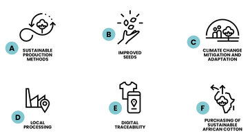 Thematic fields for the project proposals