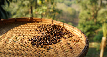 © iStock / Augustcindy iStock-1201600869.jpg