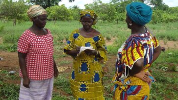 Cotton female farmers during a training session in Côte d’Ivoire © AbTF