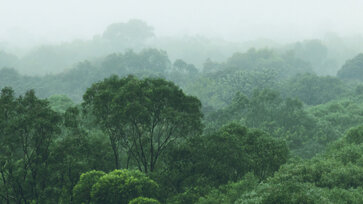 © iStock/disqis iStock-1128788568.jpg