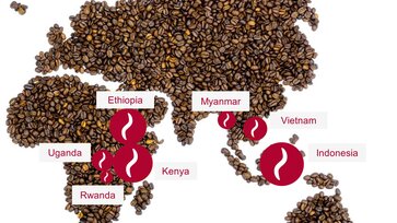 Kaffeeweltkarte.png