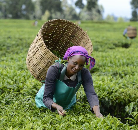 © GIZ / Joerg Boethling GIZ__JOERG_BOETHLING__2_.jpg