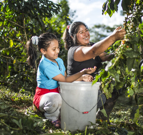 © GIZ / Leslie Searles c_GIZ_-_Leslie_Searles.jpg