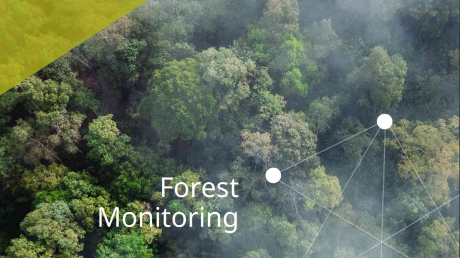 Forestmonitoring.jpg