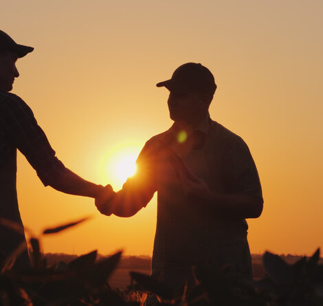 © iStock / StockSeller_ukr iStock-1201829626.jpg