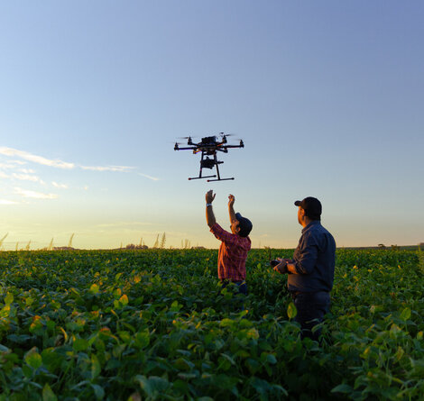 © iStock / evandrorigon iStock-1306713348.jpg