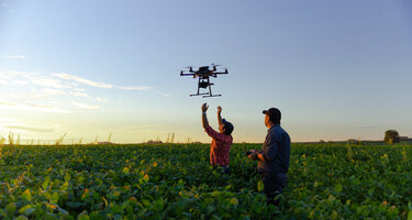 © iStock / evandrorigon iStock-1306713348.jpg